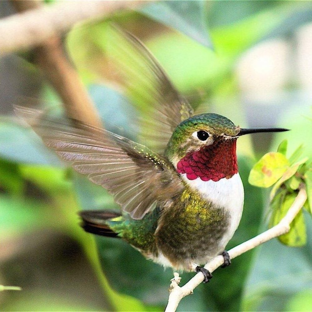 Meet your Posher, Pam